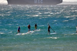 Downwind Dash Series - SUP Racing in South Africa