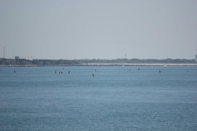 2013 Florida State Paddleboard Championships (2)