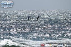 Australian Longboard Surfing Open SUP Race
