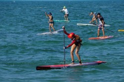 2013 Key West Classic (© Precision Paddleboards)