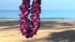 Lei Day