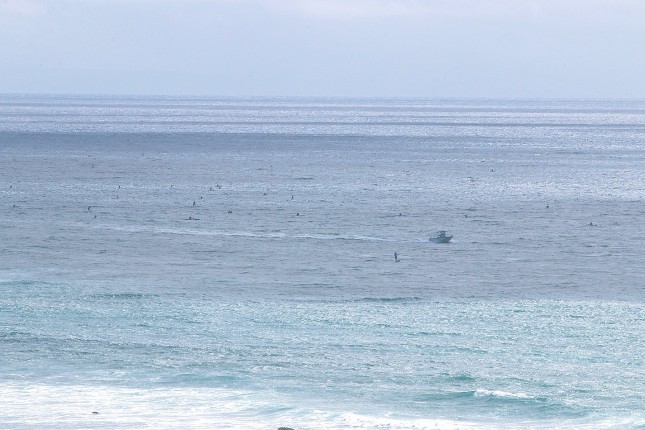 Ikaika Paddle Race