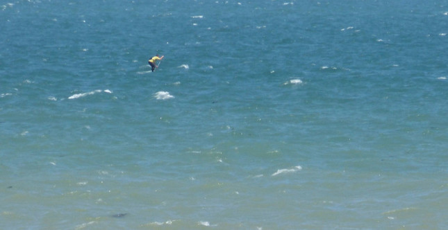 SUP downwind paddling