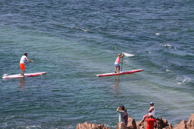 Jersey SUP - Joanne Hamilton Vale