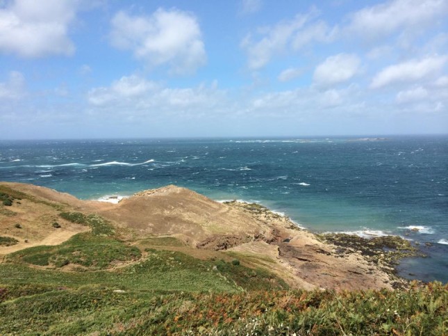 Jersey SUP downwind paddle