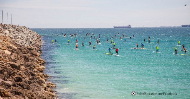 Fig to Fig stand up paddleboarding