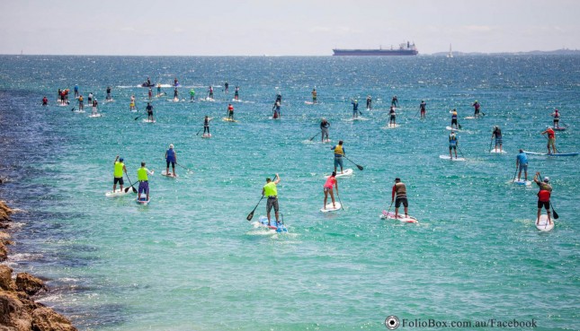 Fig2Fig stand up paddling Perth