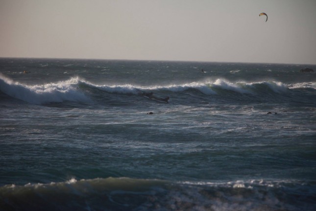 Grant Donald stand up paddle South Africa