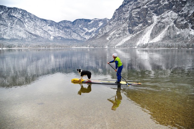 Stand Up Paddling with a dog