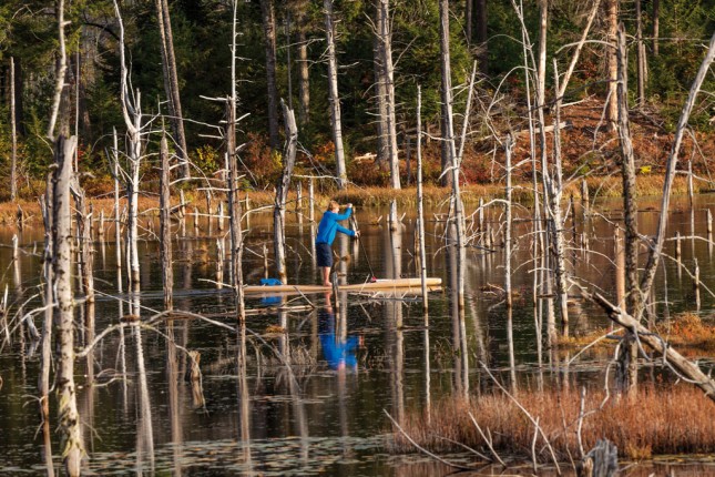 wooden stand up paddle boards