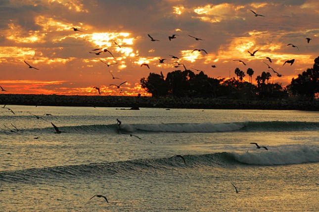 Doheny State Beach stand up paddle race